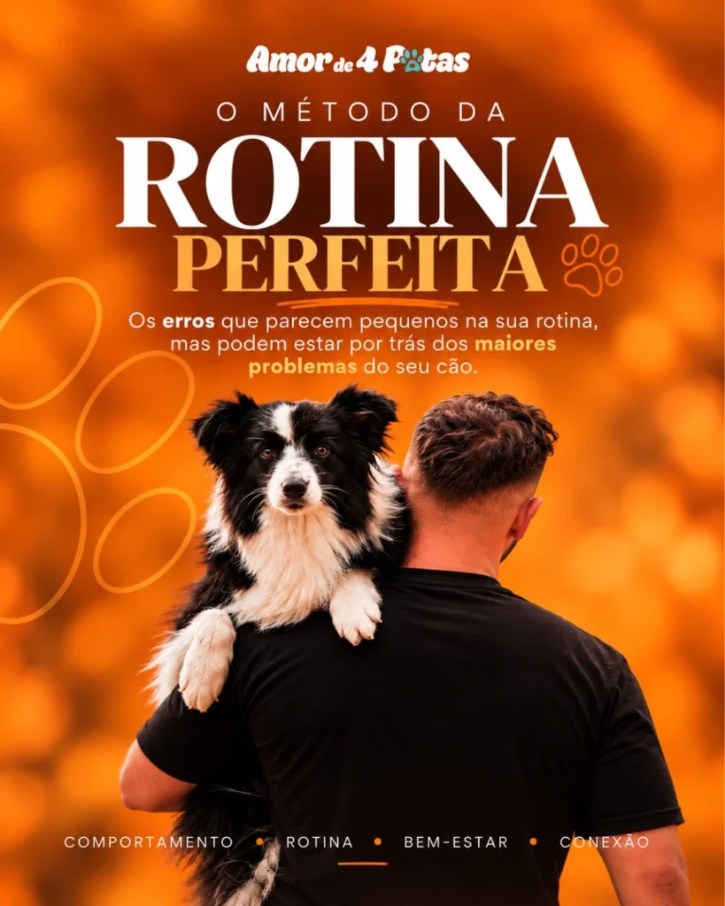 Método da Rotina Perfeita — imagem 1 de 9