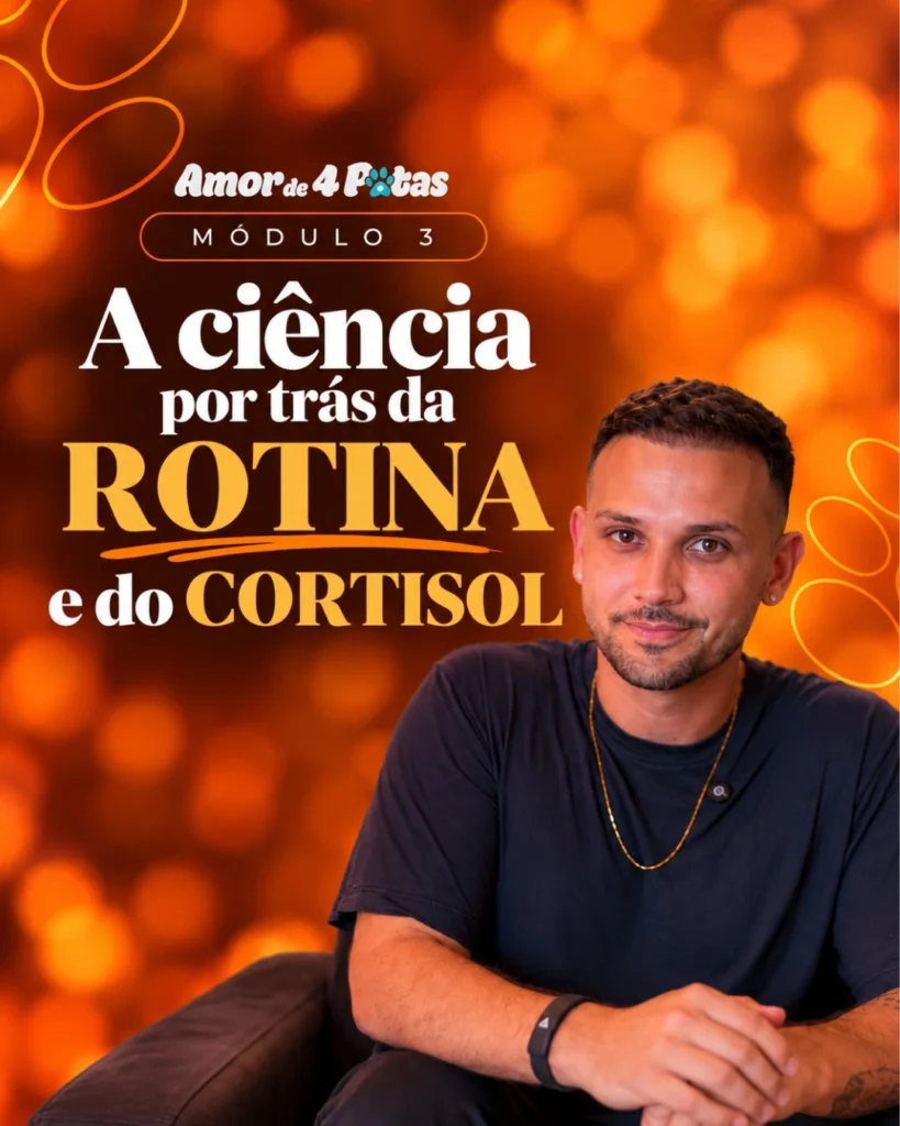 Método da Rotina Perfeita — imagem 4 de 9