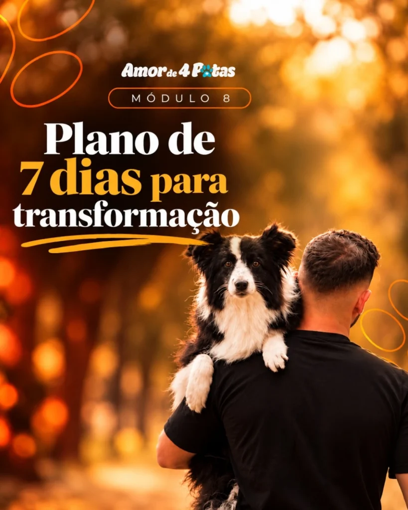 Método da Rotina Perfeita — imagem 9 de 9